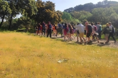 06-actividad-fundacion-cuadrado