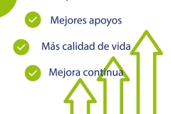 Acompañamiento Plena Inclusión - 4