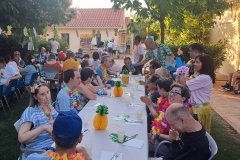 hawaiana-3