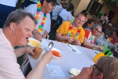 hawaiana-7