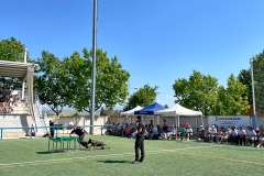 exhibcanina-8