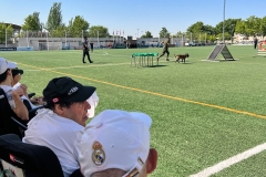 exhibcanina-9