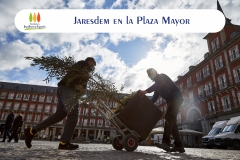 plazamayor-portada