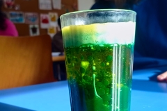 11Fmujerciencia-7