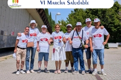 marchasaludable--portada