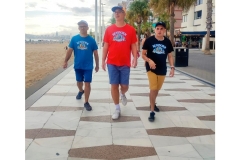 feed-03-viajebenidorm