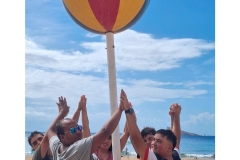 feed-04-viajebenidorm