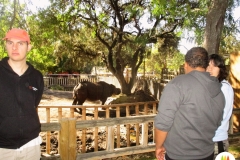 zoo-11
