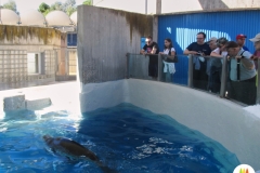 zoo-12