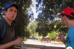 zoo-14