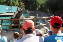 zoo-18