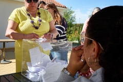 votacionelecciones-6