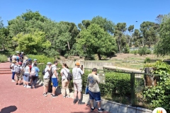 zoo-5