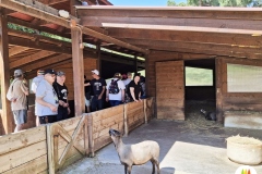 zoo-6