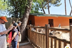 zoo-8